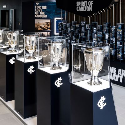 Carlton FC – Ikon Park