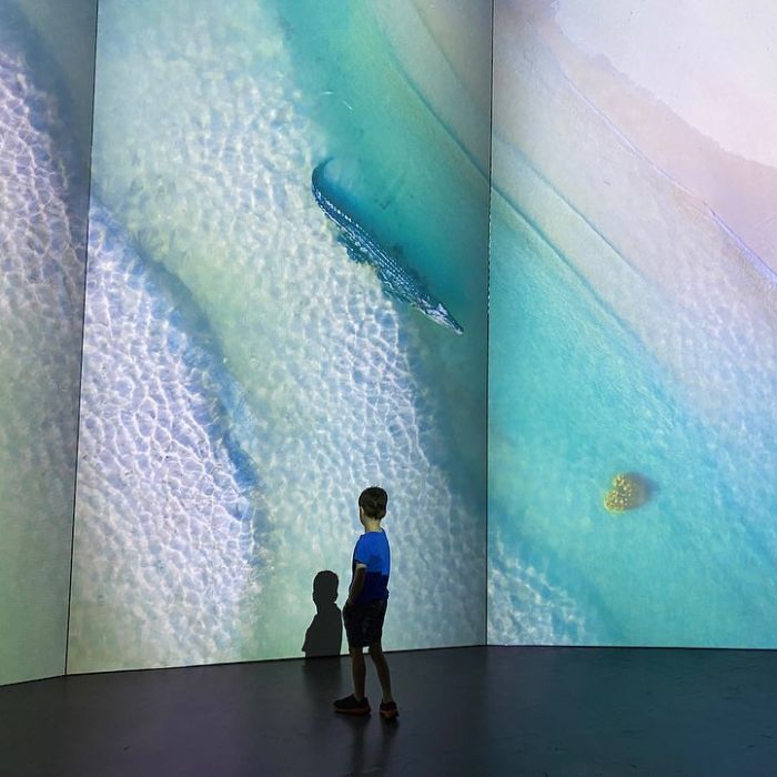 Australian Geographic - Our Country Immersive Experience