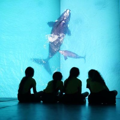 Australian Geographic