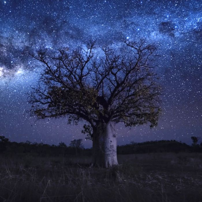 Australian Geographic - Our Country Immersive Experience