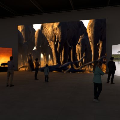 Journeys. Earth In Motion - Serengeti